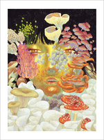 Symbiosis 1 (toadstool), Fuco Ueda