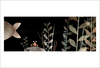 This Is Not My Hat by Jon Klassen This Is Not My Hat by Jon Klassen