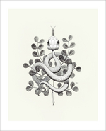 Year of the Snake, Joy Ang